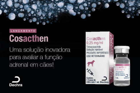 Dechra Brasil anuncia o lançamento de Cosacthen para apoiar o diagnóstico de doenças endocrinológicas.